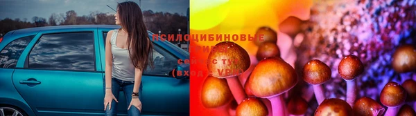 меф Алексин
