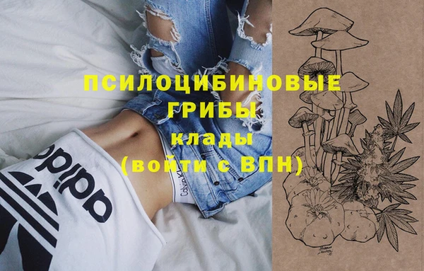 СК Алзамай