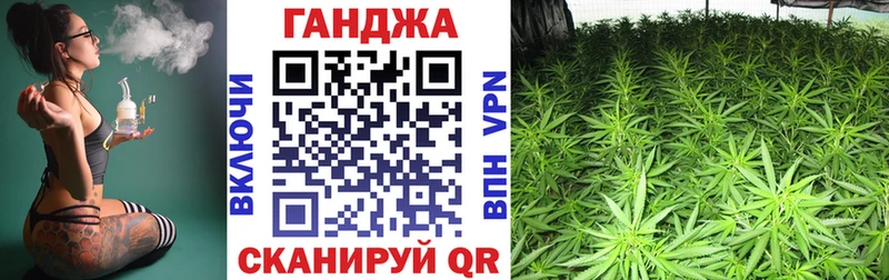 Канабис сатива Сельцо